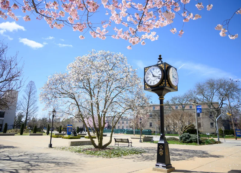 Hofstra University campus